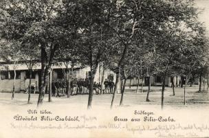 Piliscsaba katonai tábor