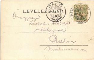 1904 Esztergom, Fő tér, városháza, Szentháromság szobor, piac. photo