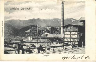 1903 Lupény, Lupeni; coxgyár (koksz gyár), iparvasút, csillék. Dima Gusztáv kiadása / coke factory, mine, industrial railway (EK)