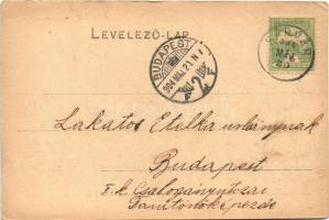 1904 Sárvár, Újmajor; Tejgazdasági épület és gépszerelvény, központi takarmánykamra és sertésistálló...