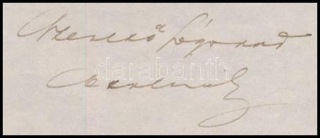 1884 Cholnoky László (1835-1901) ügyvéd, Cholnoky Jenő (1870-1950) földrajztudós édesapjának saját k...