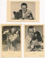 5 db RÉGI motívum képeslap: színészek / 5 pre-1945 motive postcards: actors