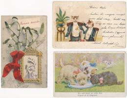 6 db RÉGI motívum képeslap: macska / 6 pre-1945 motive postcards: cats