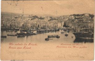 1899 Trieste, Trst; Panorama dal Mare / Panorama vom Meer gesehen / port (fl)