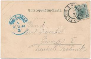 1901 Plzen, Pilsen; Museum. Verlag v. Josef Milt (r)