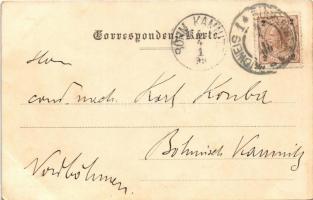 1899 Ceské Budejovice, Budweis; Ringplatz mit Markt / square, market vendors. Verl. v. Joh. J. Zink ...