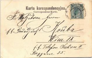 Jaroslaw, Jaroslau, Yareslov; Kosciól N. P. Maryi / Marienkirche / church (wet damage)