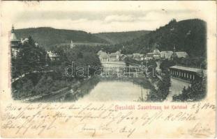 1902 Kyselka, Gießhübl Sauerbrunn; spa, bath (r)