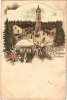 Jedlová, Tannenberg; Gruss vom Tannenberg bei St. Georghental Nord-Böhmen / mountain peak, lookout tower. Art Nouveau, floral, litho (EB)