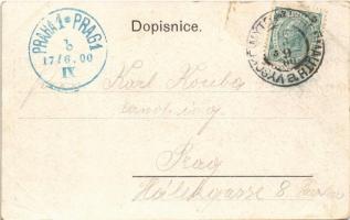 1900 Vysoké Myto, general view, market square (tear)