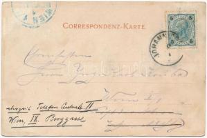 1902 Janské Lázne, Johannisbad (Krkonose, Riesengebirge); (wet damage)