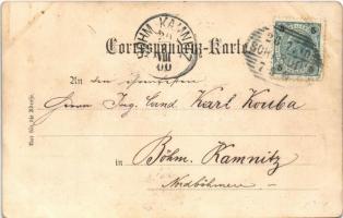 1900 Schärding, general view, bridge. Verlag v. Max Weiglein (wet damage)