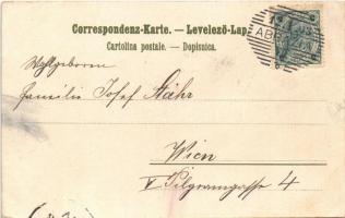 1903 Abbazia, Opatija; Küstenpartie am Nordstrand / coast (ázott sarkak / wet corners)