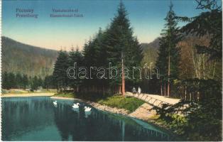 Pozsony, Pressburg, Bratislava; Vaskutacska-tó / Eisenbrünnel-Teich (Eisenbründl) / Zelezná Studénka / spa, lake (képeslapfüzetből / from postcard booklet)