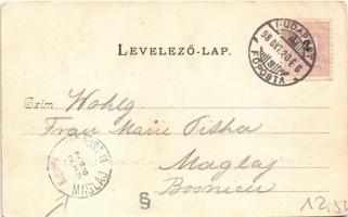 1898 Budapest I. Kilátás az Országház felé. D.K. Bp. 15. (EB)