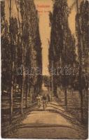 1909 Érsekújvár, Nové Zámky; Vasúti fasor, kerékpáros. W. L. (?) 247. Szivesi kapus kiadása / railway alley, man with bicycle (EK)