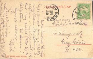 1909 Érsekújvár, Nové Zámky; Vasúti fasor, kerékpáros. W. L. (?) 247. Szivesi kapus kiadása / railwa...