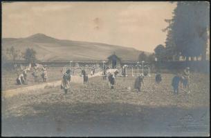 1924 Ruzomberok, kerti munkák, feliratozott vintage fotó, hidegpecséttel jelzett, 8,8x13,6 cm