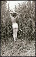 cca 1972 A Velencei-tó nádasának rejtekén, 5 db vintage NEGATÍV Marinkay István (1920-?) veszprémi fotóművész hagyatékából, feliratozva a tároló dobozon volt, 24x36 mm