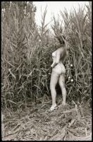 cca 1972 A Velencei-tó nádasának rejtekén, 5 db vintage NEGATÍV Marinkay István (1920-?) veszprémi f...