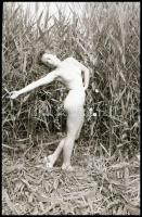 cca 1972 A Velencei-tó nádasának rejtekén, 5 db vintage NEGATÍV Marinkay István (1920-?) veszprémi f...