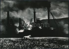 cca 1977 Juhász Miklós miskolci fotóművész pecsétjével jelzett, vintage fotóművészeti alkotás (Menekülés), a magyar fotográfia avantgarde korszakából, 13x18 cm