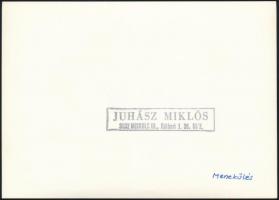 cca 1977 Juhász Miklós miskolci fotóművész pecsétjével jelzett, vintage fotóművészeti alkotás (Menek...
