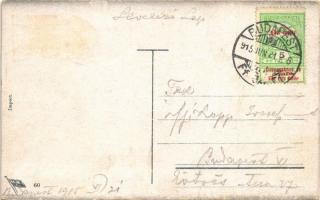 1915 Schwere Kämpfe der Verbündeten in den Karpathen / Nagy harcok a Kárpátokban / WWI German and Au...