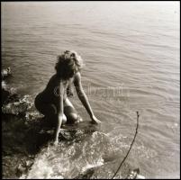 Ficánkolni jaj de jó! Több fotómodell közreműködésével készült akt felvételek, Menesdorfer Lajos (19...