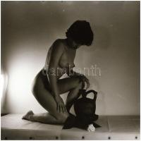 Szabadon választott gyakorlatok, különböző időpontokban, eltérő helyszíneken és több fotómodell közr...