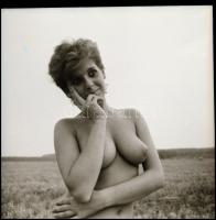 Eltérő helyszíneken, különböző időpontokban és több fotómodell közreműködésével készült aktok, Menes...