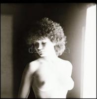 Több fotómodell közreműködésével, különböző időpontokban készült akt felvételek, Menesdorfer Lajos (...