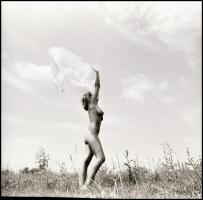 Több fotómodell közreműködésével, különböző időpontokban készült akt felvételek, Menesdorfer Lajos (...