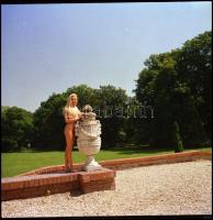 Különböző időpontokban, több fotómodell közreműködésével készült akt felvételek tétele, Menesdorfer ...