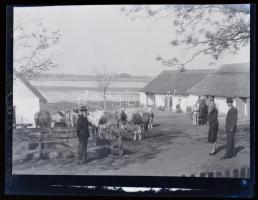cca 1935 Élet a Bács-Kiskun megyei tanyákon, Lőcsei Árpád (?-?) kecskeméti vándorfényképész hagyaték...