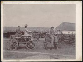 cca 1900 Csacsifogat a vidéki birtokon, keményhátú vintage fotó, 8,8x11,7 cm