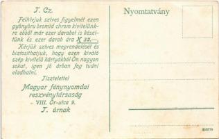 Károlyváros, Karlovac; Pogled na slap / látkép, gyár. Magyar fénynyomdai részvénytársaság reklámja a...