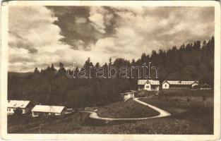 Stószfürdő, Stoósz-fürdő, Kúpele Stós; Mezőgazdasági üzem / Landwirtschaftliches Unternehmen / Polnohospodársky podnik / farm, agricultural company (fa)