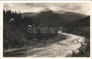 Kőrösmező, Yasinia, Yasinya, Jassinja, Jasina; Hoverla a Studeni patakkal / mountain, creek (EB)