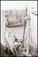 Vegyes témájú fotónegatívok negatívtartó tasakokban