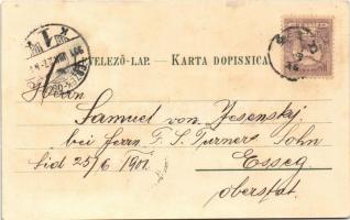 1901 Sid, Fő utca, templom, tér / church of the Krizevci diocese, square, shops. Ottmar Zieher Art N...