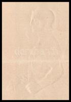 Budapest 1911. "A Ferencvárosi Versenypálya Részvénytársaság" névre szóló részvénye 100K-r...