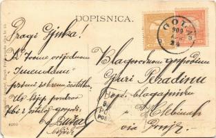 1909 Góla, Gola, Gole (Podravina); Zupni dvor, pucka skola, Trgovina J. Janes / iskola, templom, plé...