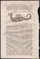 1682 Földalatti fantázia állatok, szörnyek rézmetszetű képe. Athanasius Kircher Mundus subterraneus,...