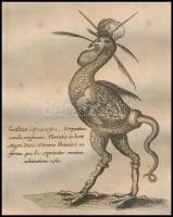 1682 Földalatti fantázia állatok, szörnyek rézmetszetű képe. Athanasius Kircher Mundus subterraneus,...