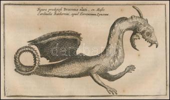 1682 Földalatti fantázia állatok, szörnyek rézmetszetű képe. Athanasius Kircher Mundus subterraneus,...