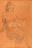 Azonosítatlan német vagy osztrák grafikus: Akt tanulmányok 7 db A/3 és nagyobb méretű rajz. Ceruza, ...