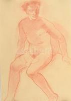 Azonosítatlan német vagy osztrák grafikus: Akt tanulmányok 7 db A/3 és nagyobb méretű rajz. Ceruza, ...