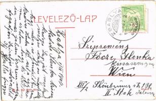 1909 Zsablya, Zabalj; Fő utca, városháza, nagyvendéglő. W.L. Bp. 2299-301. / main street, town hall,...