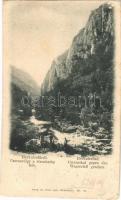 1899 (Vorläufer) Herkulesfürdő, Baile Herculane; Csernavölgy a vízzuhatag felé / valley, waterfall (EK)